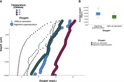 Oxygen supersaturation adds resistance to a cnidarian: Symbiodiniaceae holobiont under moderate warming in experimental settings